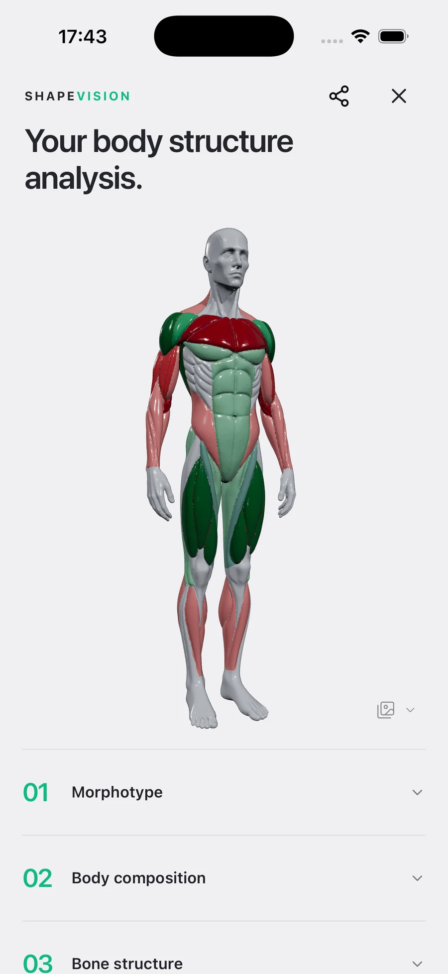 Understand your physique.